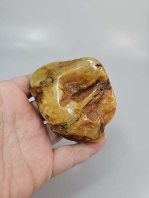 raw amber gemstone baltic