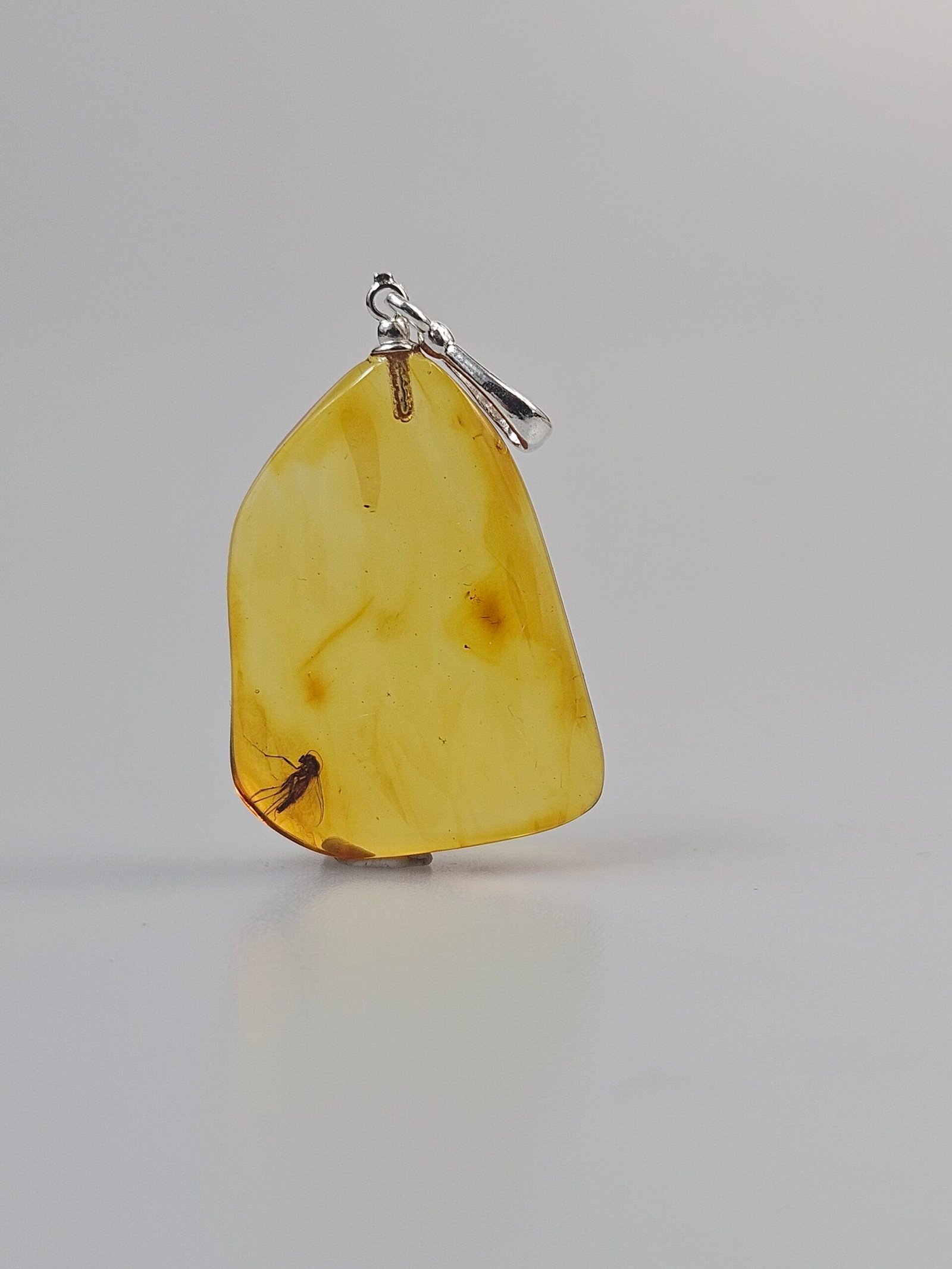 Pakabukas su inkliuzu. Apvalus gintarinis pakabukas su inkliūzu