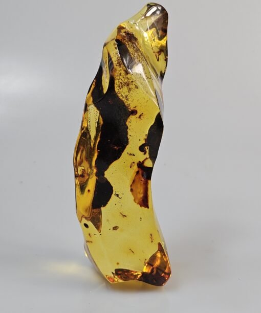 Gintaro grynuolis gintaras gintaro akmuo su inlkliūzu