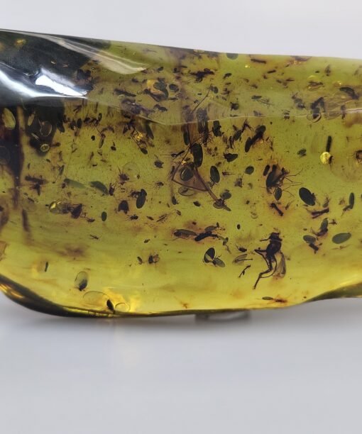 Gintaro grynuolis gintaras gintaro akmuo su inlkliūzu