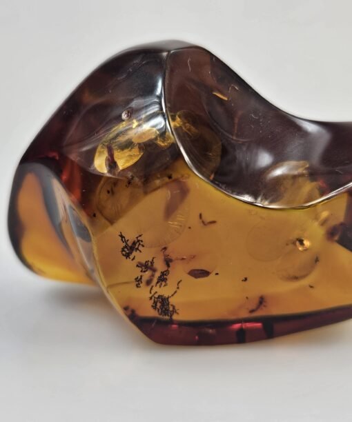 Gintaro grynuolis gintaras gintaro akmuo su inkliūzu