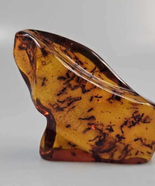 Gintaras su inkliūzu