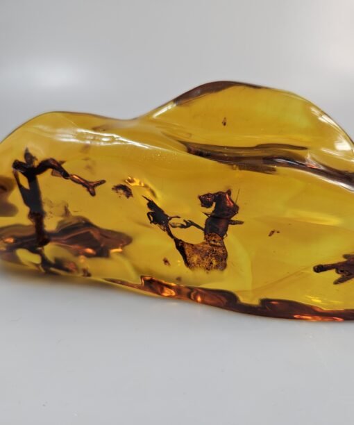 huge gemstone with insect rare amber