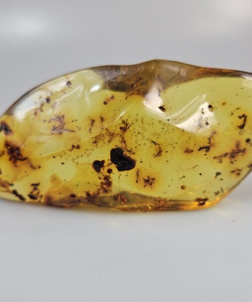 Gintaras su inkliuzu Gintaro grynuolis