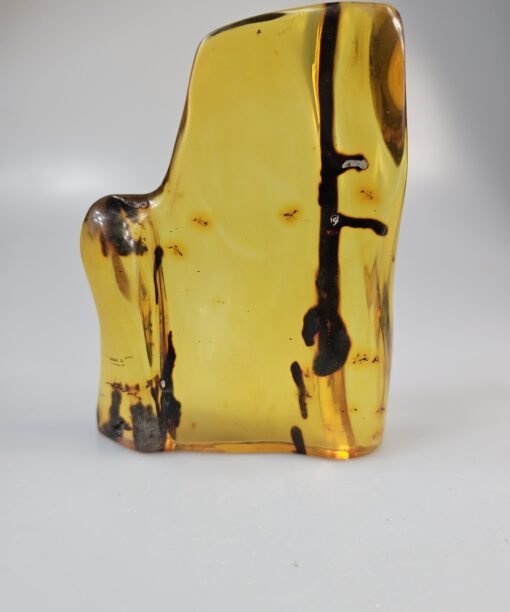 Gintaras su inkliūzu