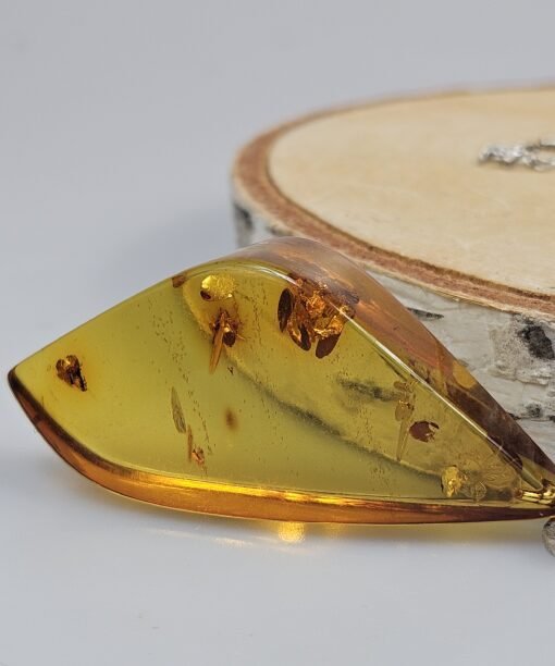 Gintaras pakabukas gintarinis pakabukas dovana mamai žmonai Kalėdos