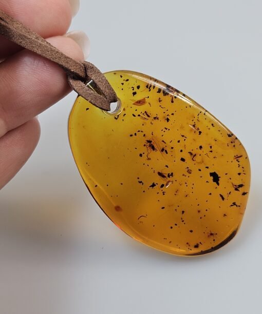 gintarinis pakabukas su inkliūzais