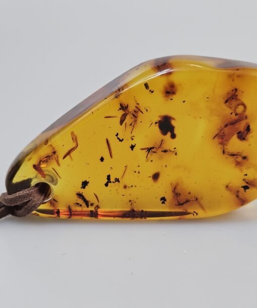 gintarinis pakabukas su inkliūzais