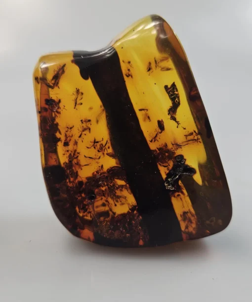 Gintaras su inkliūzu