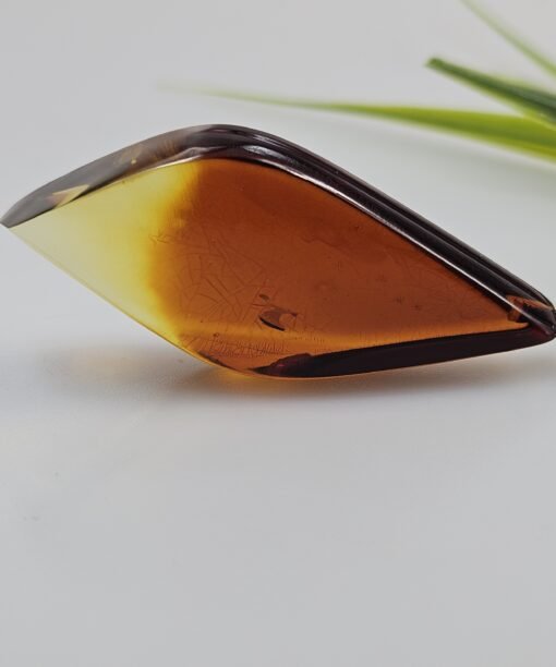 Dvispalvis gintaro pakabukas 